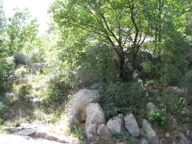 100_1884.JPG