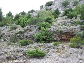 100_8385.JPG