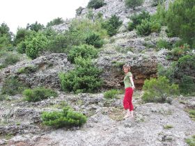 100_8387.JPG